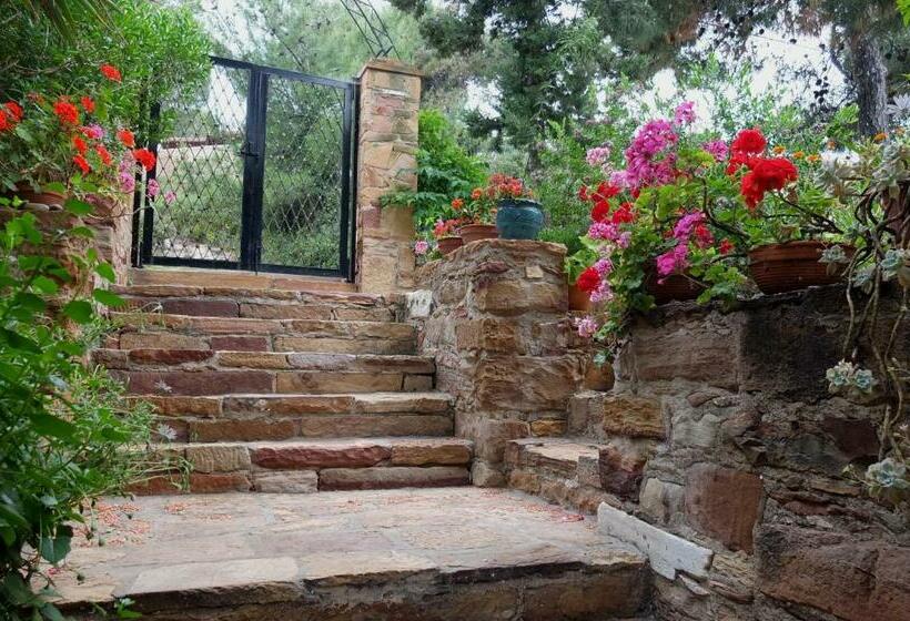 إستوديو قياسى, Efta Anemi   Benovias