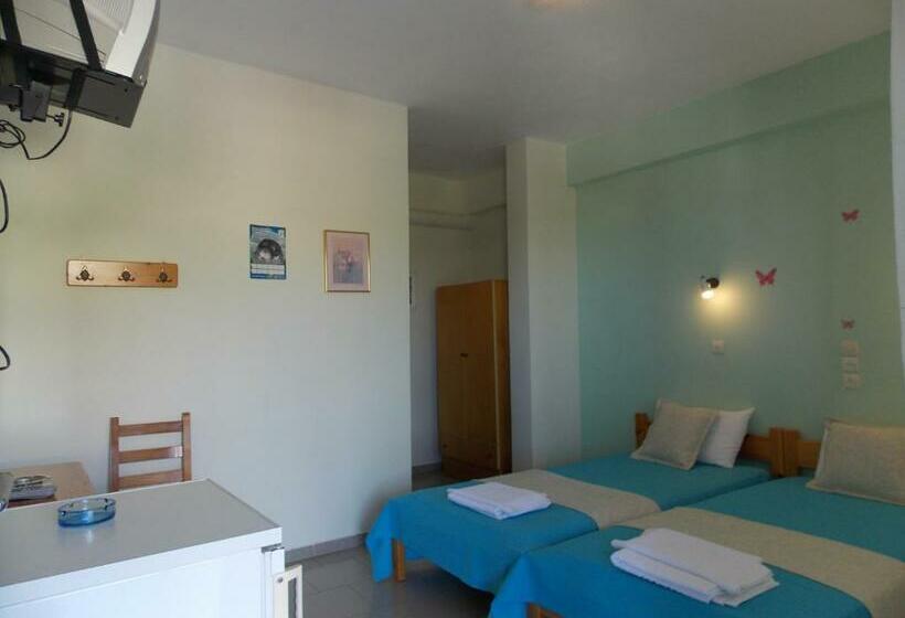 اتاق اکونومی, Pension Anna