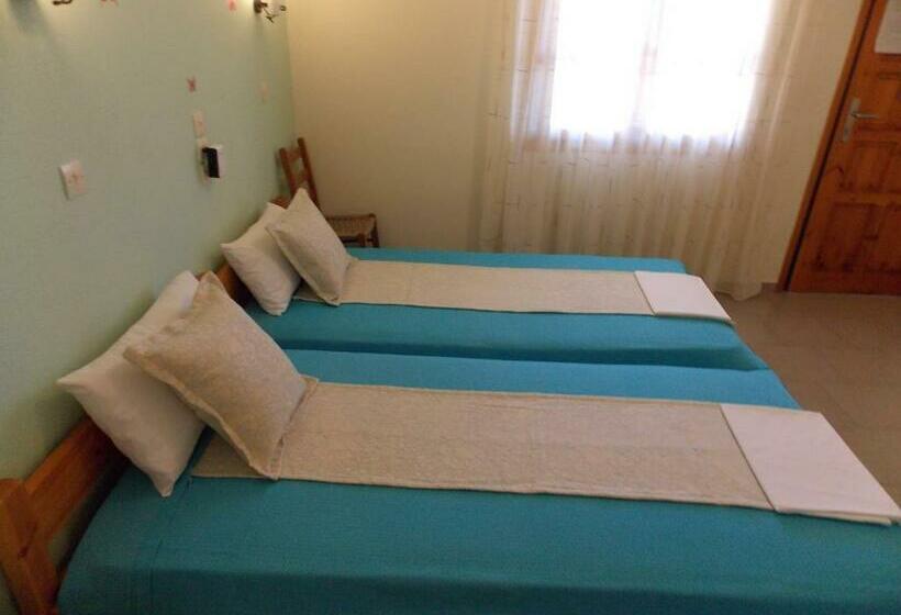 اتاق اکونومی, Pension Anna