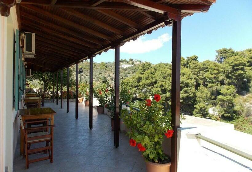 اتاق اکونومی, Pension Anna