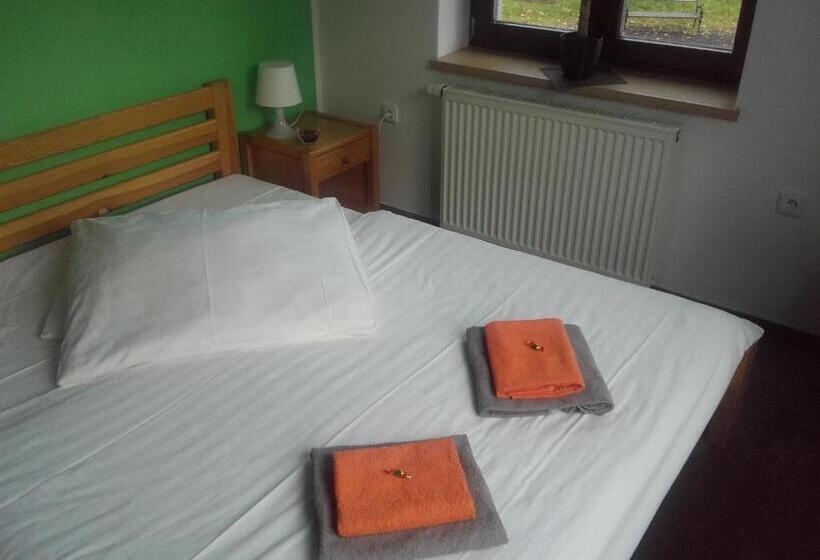 غرفة قياسية, Anna