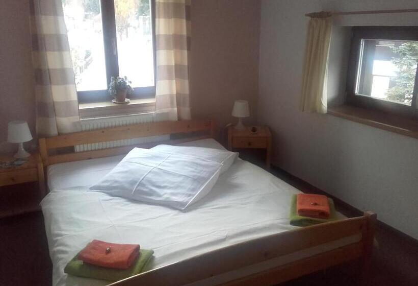 غرفة قياسية, Anna