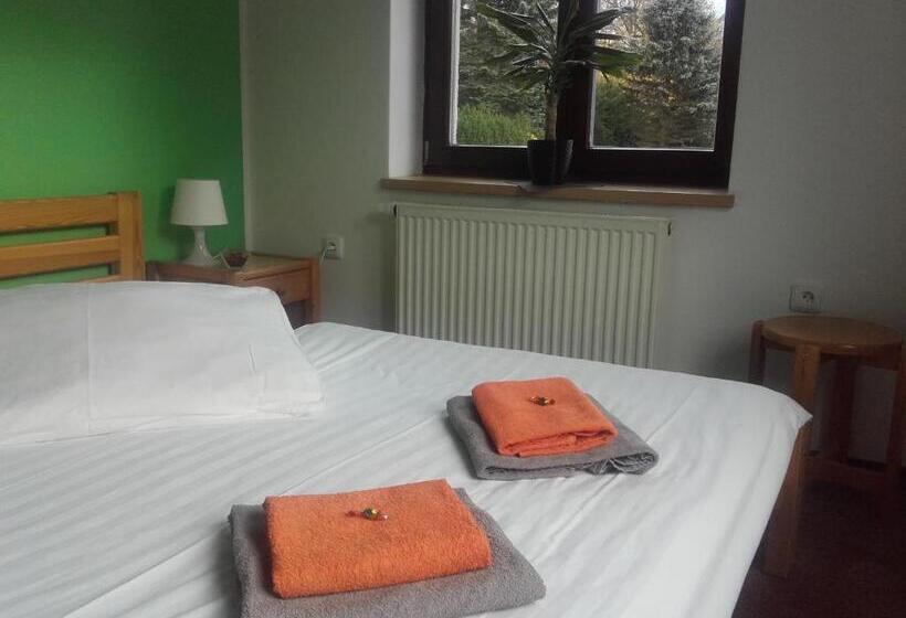 اتاق استاندارد, Anna