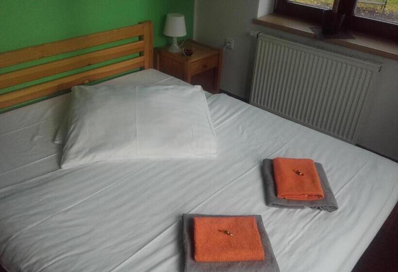 غرفة قياسية, Anna