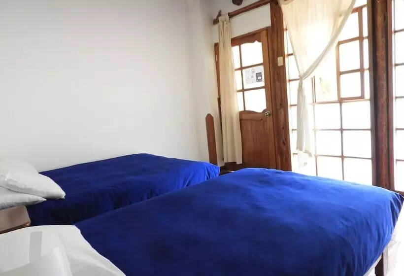Perhehuone, Picaflor Tambo Guest House
