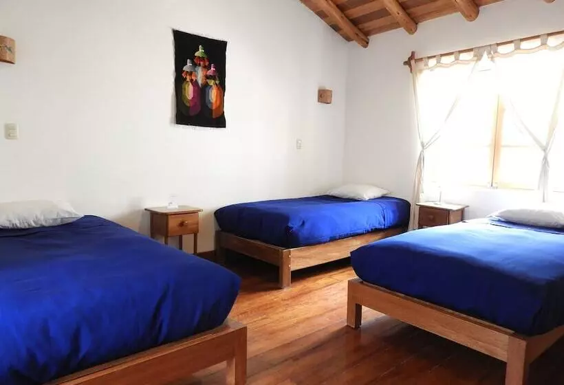 Comfort Kolmen Hengen Huone, Picaflor Tambo Guest House