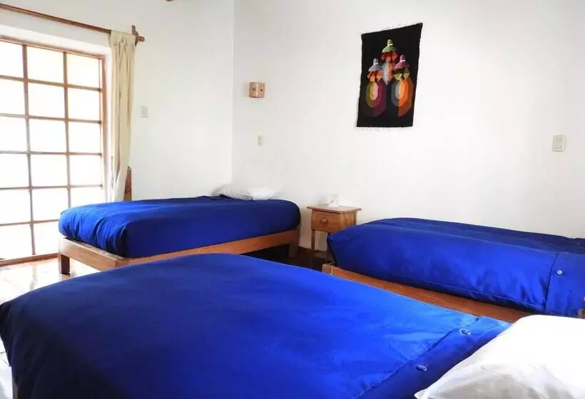 Comfort Kolmen Hengen Huone, Picaflor Tambo Guest House