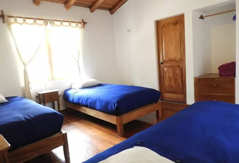 Comfort Kolmen Hengen Huone, Picaflor Tambo Guest House