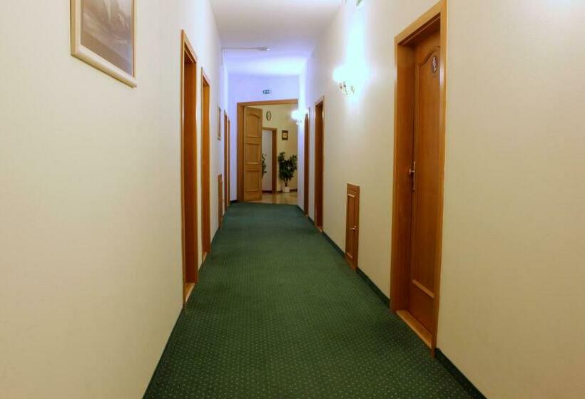 غرفة قياسية, Flora