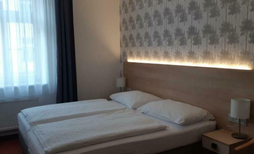 غرفة قياسية, Flora