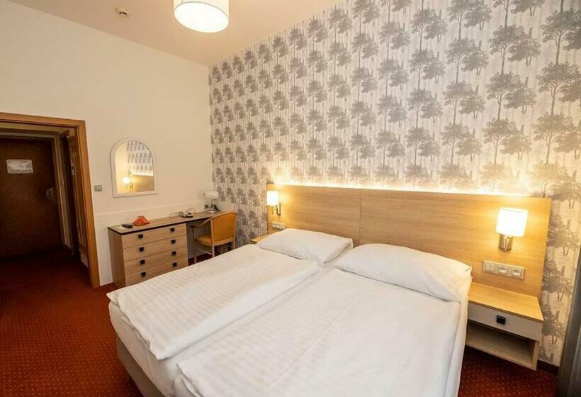 غرفة قياسية, Flora