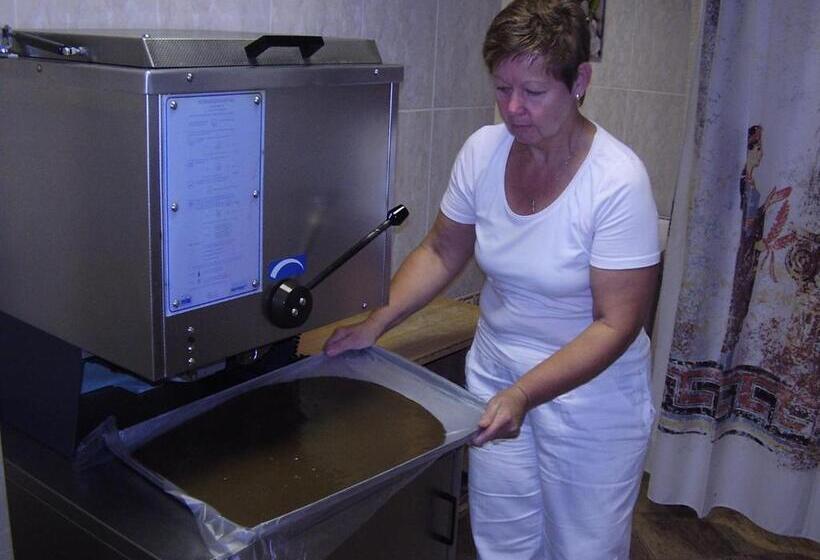 غرفة قياسية, Flora