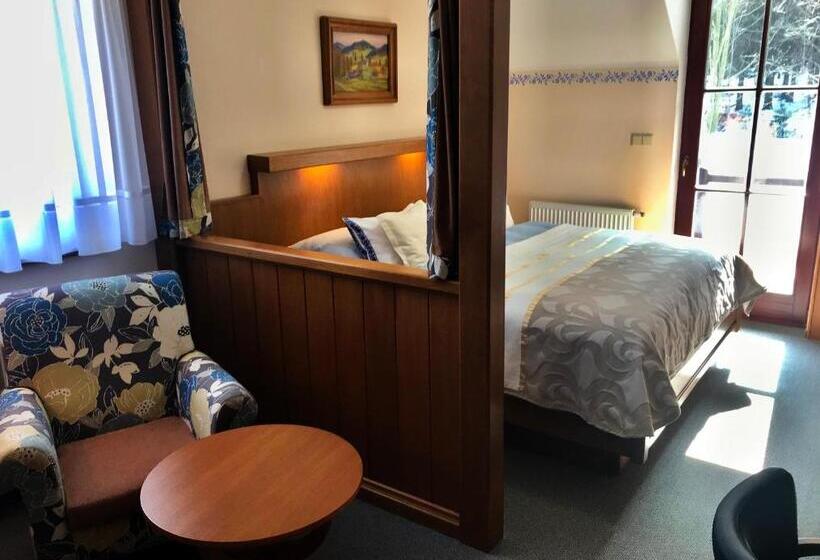 Pokój Standard z Hydromasażem, Na Dolině