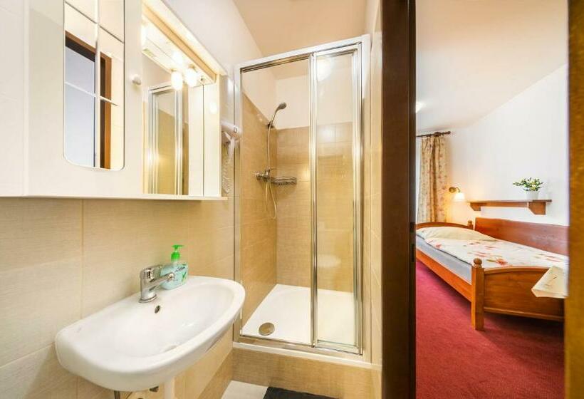 غرفة قياسية, Pension Blume