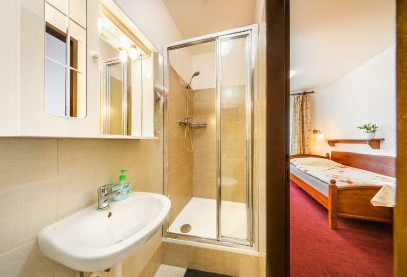 غرفة قياسية, Pension Blume