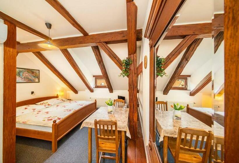 غرفة قياسية, Pension Blume