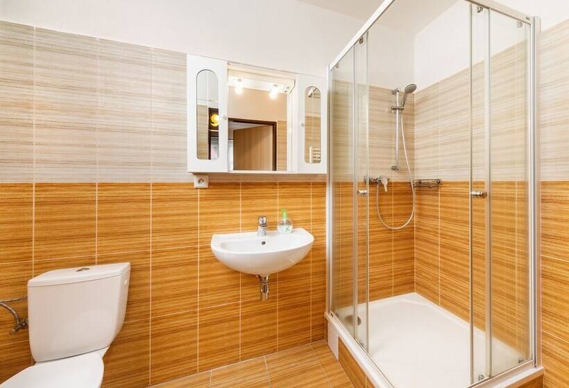 غرفة قياسية, Pension Blume