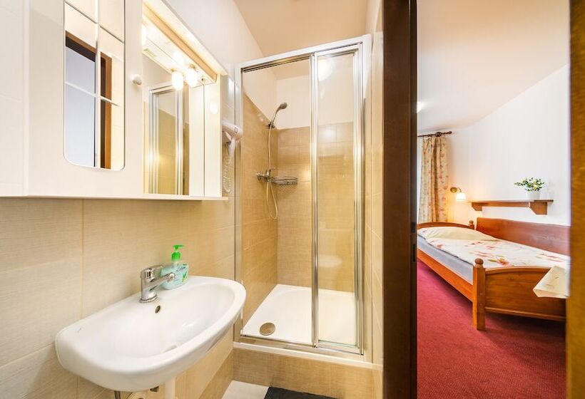 غرفة قياسية, Pension Blume