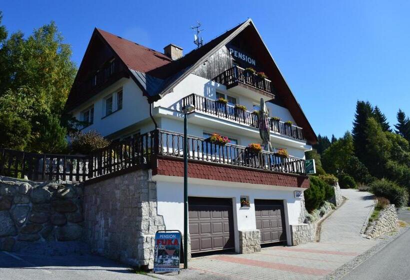 Economy Szoba, Pension Fuka