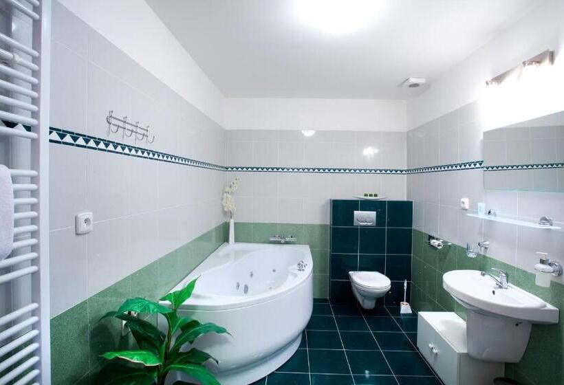 شقة غرفة واحدة, Penzion Pohoda