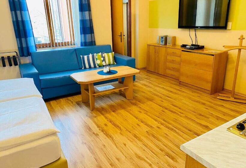 غرفة ديلوكس, Penzion Pohoda