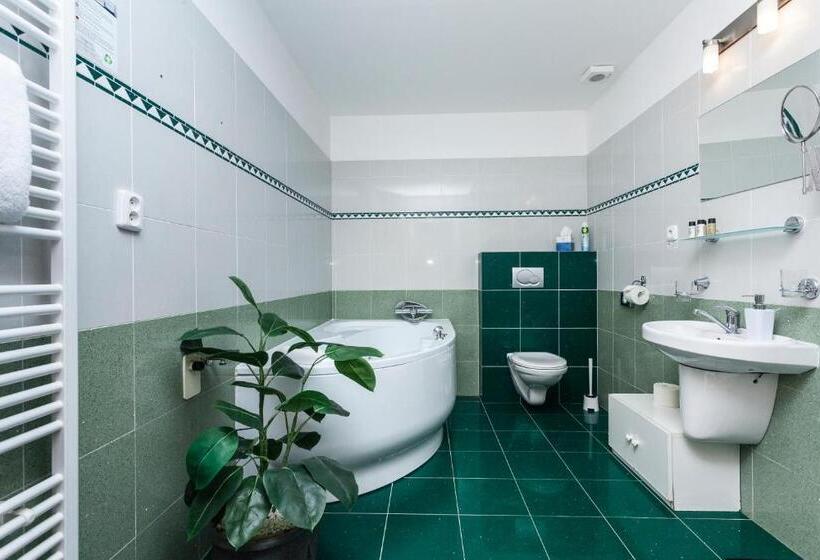 شقة غرفة واحدة, Penzion Pohoda