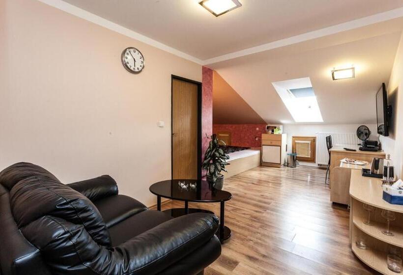 غرفة قياسية سرير كينج, Penzion Pohoda