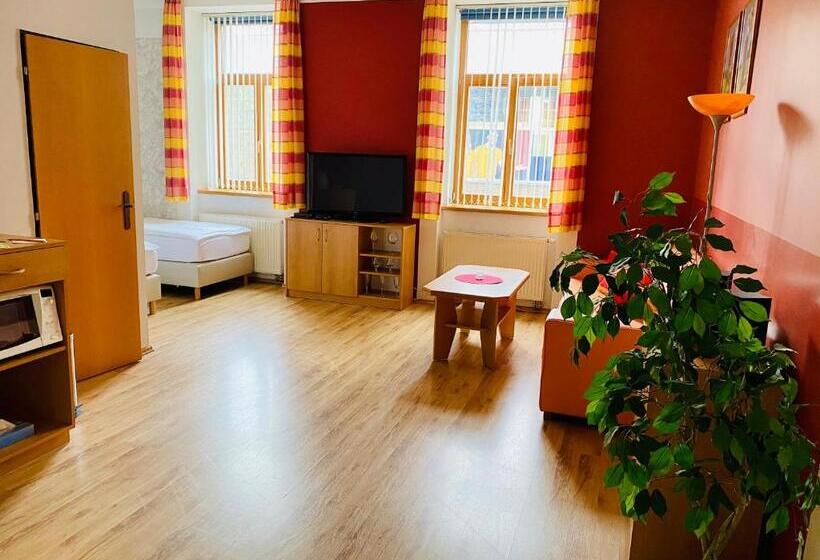 غرفة ديلوكس, Penzion Pohoda