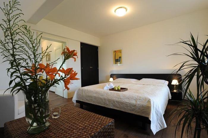 スタンダードルーム, Penzion Vila Elektra