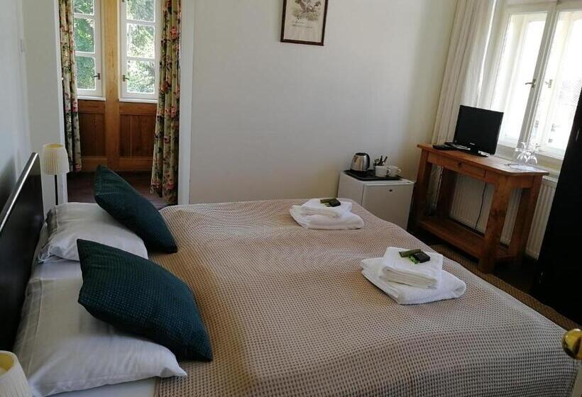 ベーシックルーム, Penzion Vila Elektra