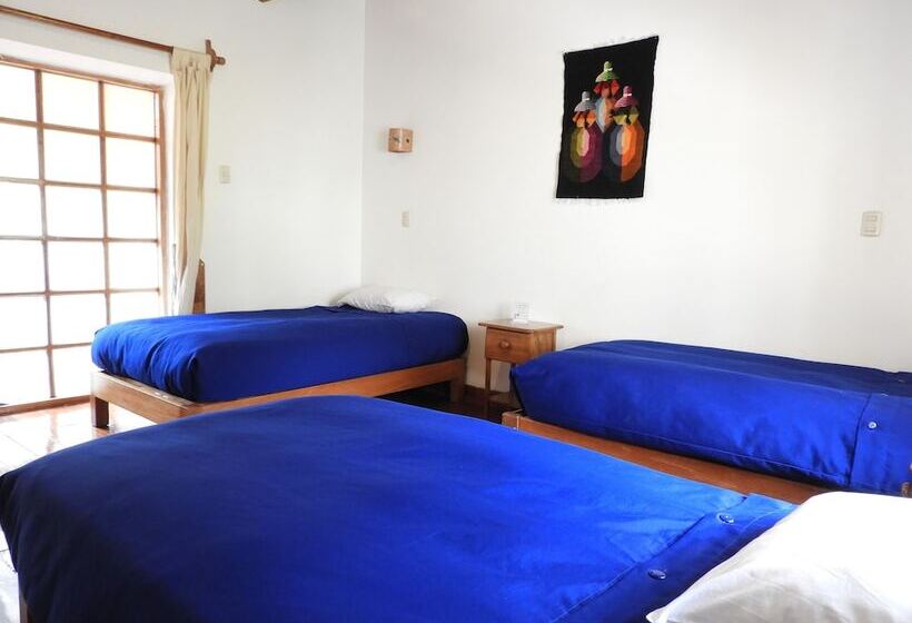اتاق راحتی سه تخته, Picaflor Tambo Guest House