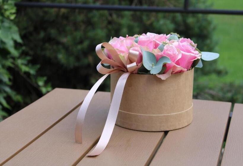 דירת חדר, Resort Lesní Lázně