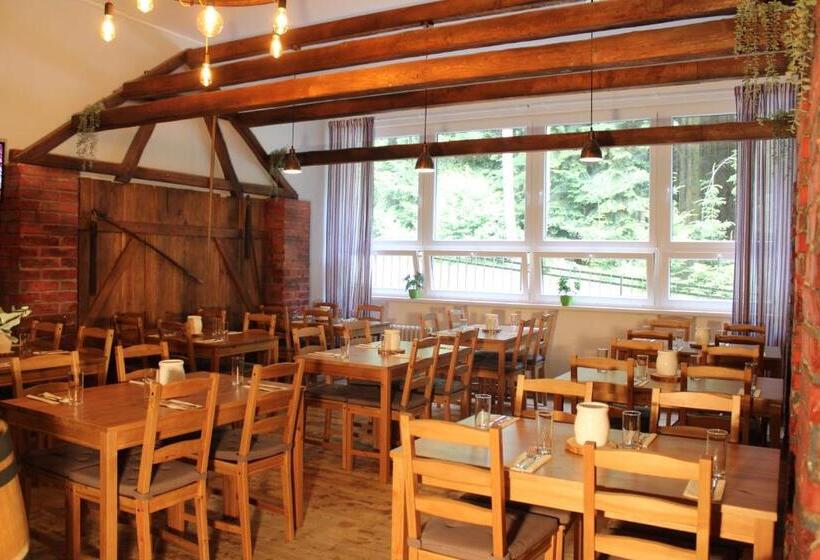 Апартаменты 1 Спальня, Resort Lesní Lázně