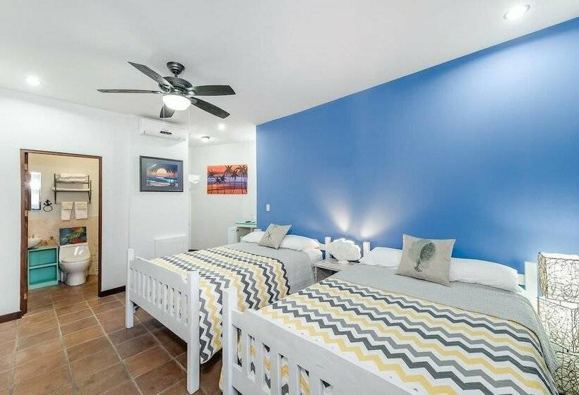 スタンダードルーム, Sirena Serena B&b Retreat