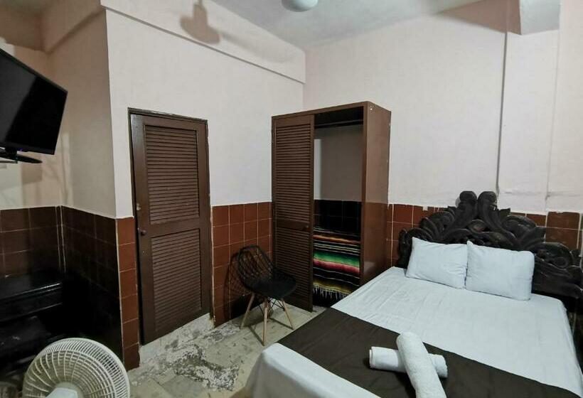 غرفة إقتصادية, Colonial San Carlos