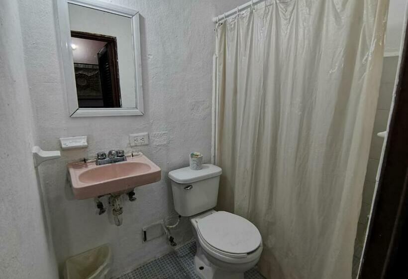 غرفة إقتصادية, Colonial San Carlos