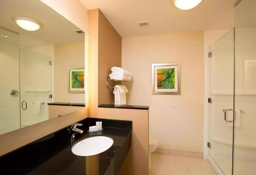 Standard-huone King-vuode, Fairfield Inn & Suites By Marriott Durango