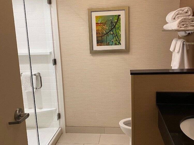 스위트, Fairfield Inn & Suites By Marriott Durango