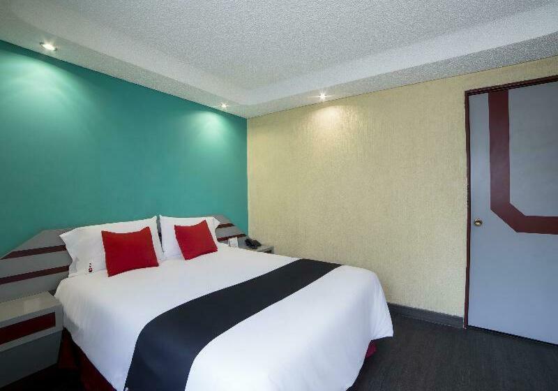 スタンダードルーム, Ayenda Frida Costa Azul