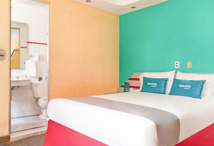 スタンダードルーム, Ayenda Frida Costa Azul