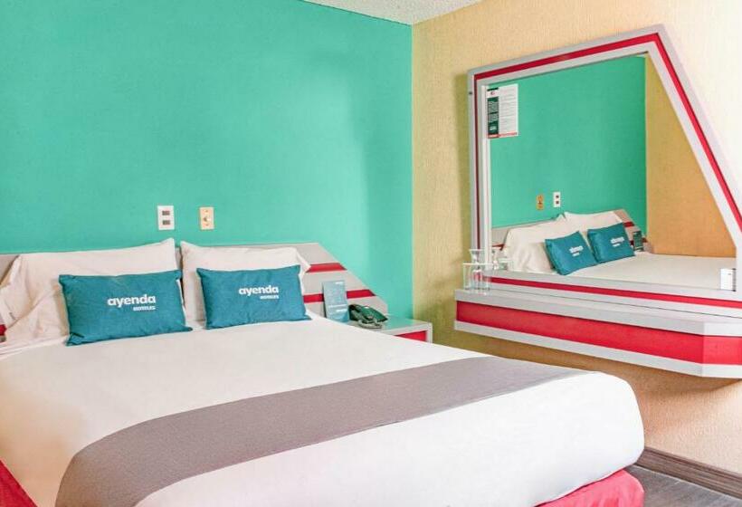 スタンダードルーム, Ayenda Frida Costa Azul