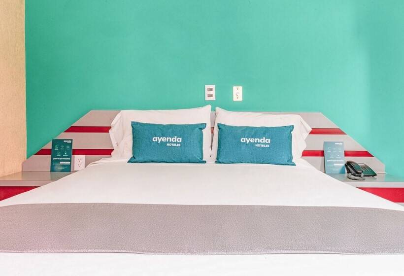 スタンダードルーム, Ayenda Frida Costa Azul