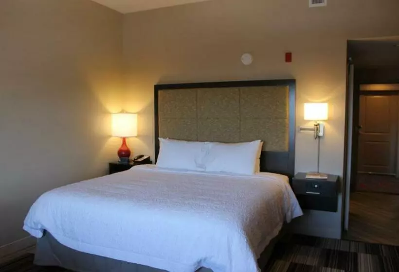 キングサイズベッドのエクゼクティブルーム, Hampton Inn Oxford
