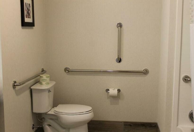 غرفة قياسية سرير كينج لذوى الإحتياجات الخاصة, Hampton Inn Oxford