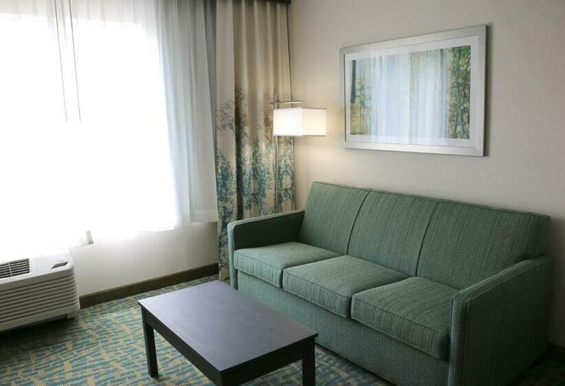 מיטת קינג בסוויטה, Holiday Inn Express & Suites   Hendersonville Se   Flat Rock, An Ihg