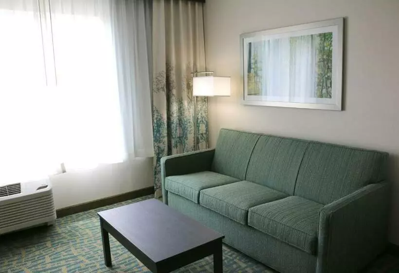 キングサイズベッドのスイートルーム, Holiday Inn Express & Suites   Hendersonville Se   Flat Rock, An Ihg