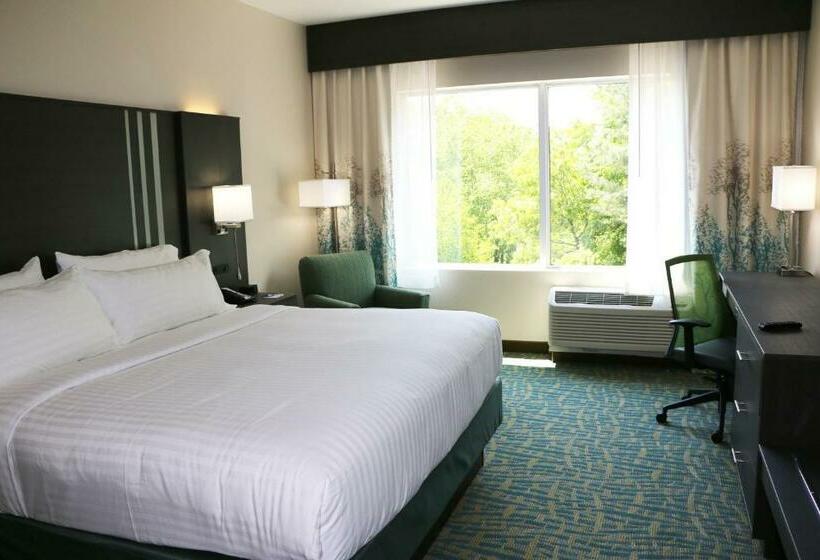 Номер Стандарт Кровать Кинг Адаптированный для Инвалидов, Holiday Inn Express & Suites   Hendersonville Se   Flat Rock, An Ihg