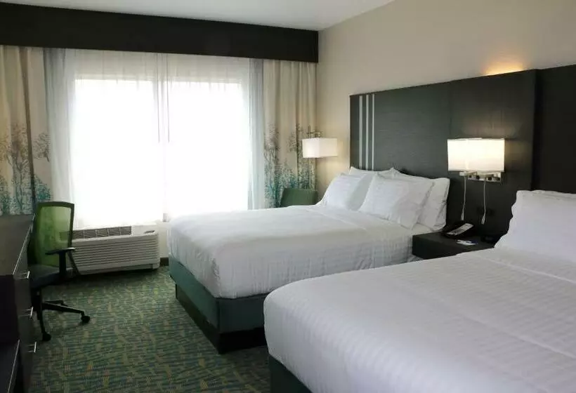 スタンダードルーム, Holiday Inn Express & Suites   Hendersonville Se   Flat Rock, An Ihg