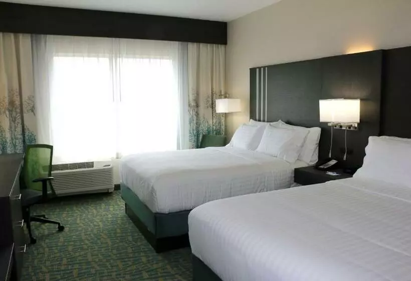 身障者適用スタンダードルーム, Holiday Inn Express & Suites   Hendersonville Se   Flat Rock, An Ihg