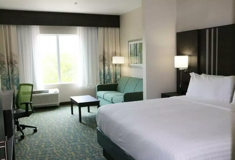 スタンダードルーム, Holiday Inn Express & Suites   Hendersonville Se   Flat Rock, An Ihg